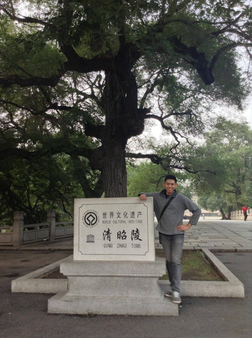 Animal Statues & Features