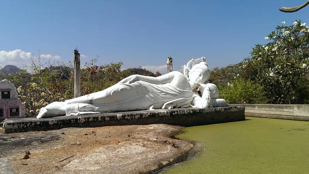 Panoramic Ocean and City Vistas