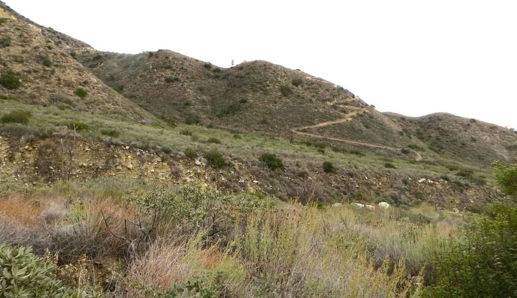 Mt. Lukens Trail