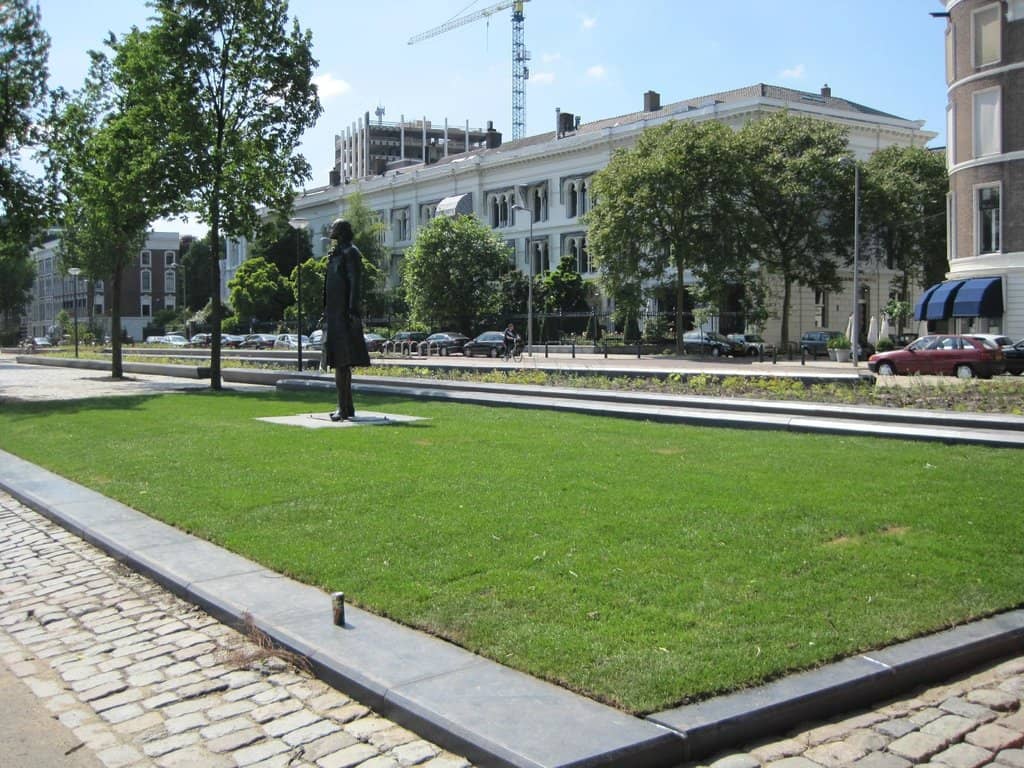 Rotterdam's Heart Harbor