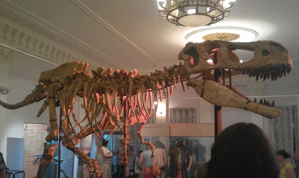 Local History Collection