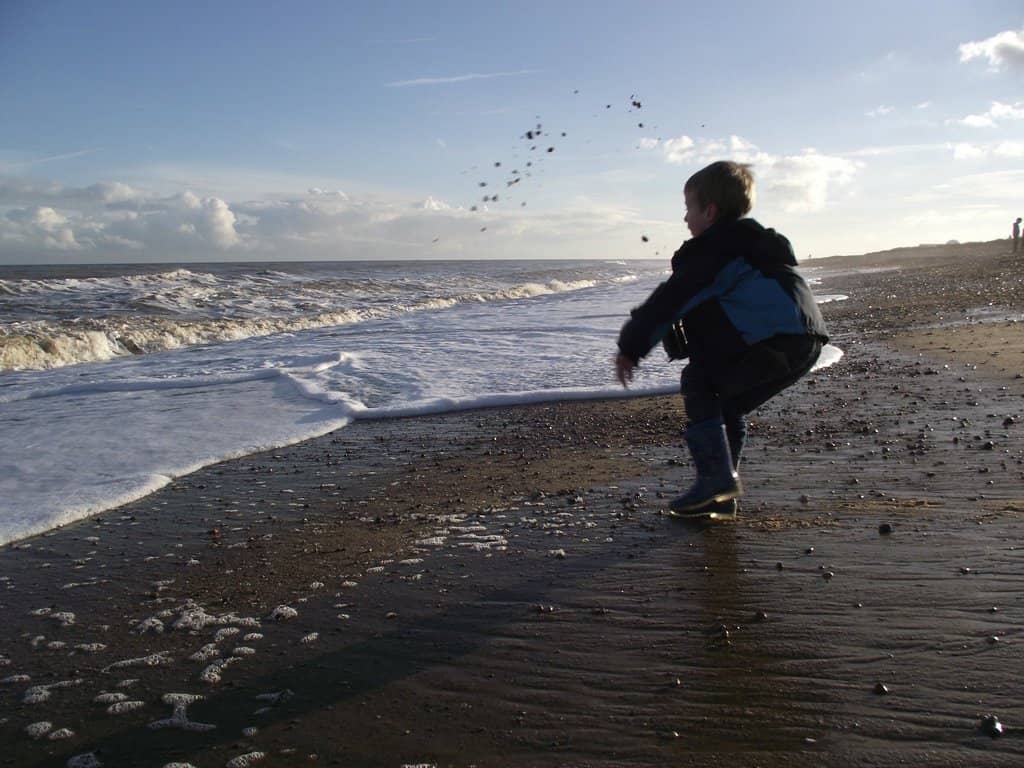 Woodland Den Building