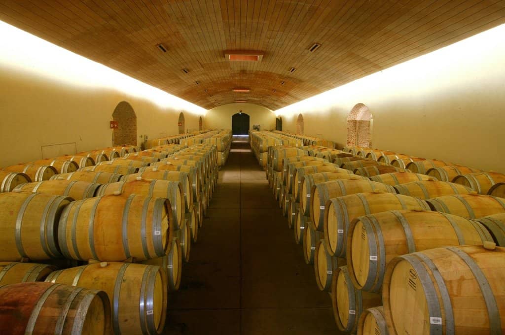 Vineyard and Garden Tours