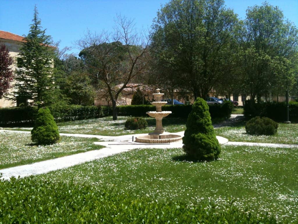 Vast Library Collection