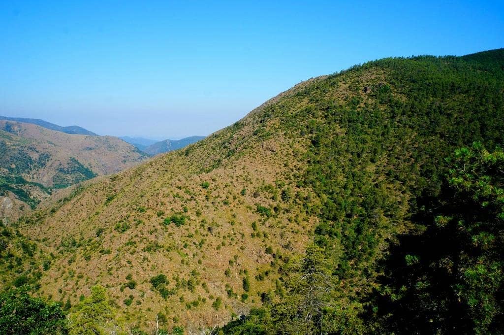 Rio del Gorzente