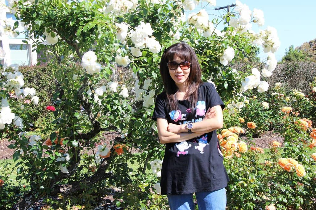 Thousands of Roses