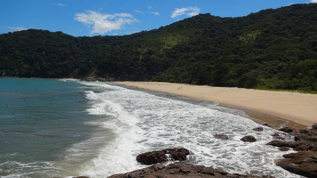 Surfer's Paradise