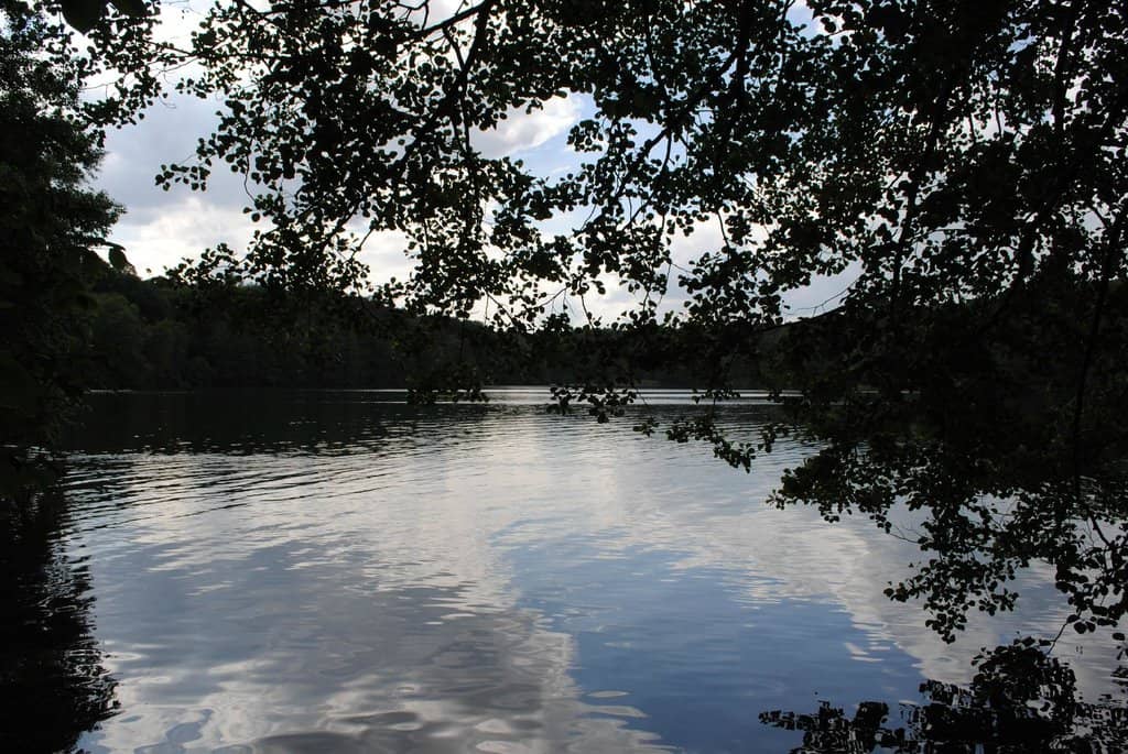 Scenic Hiking Trails