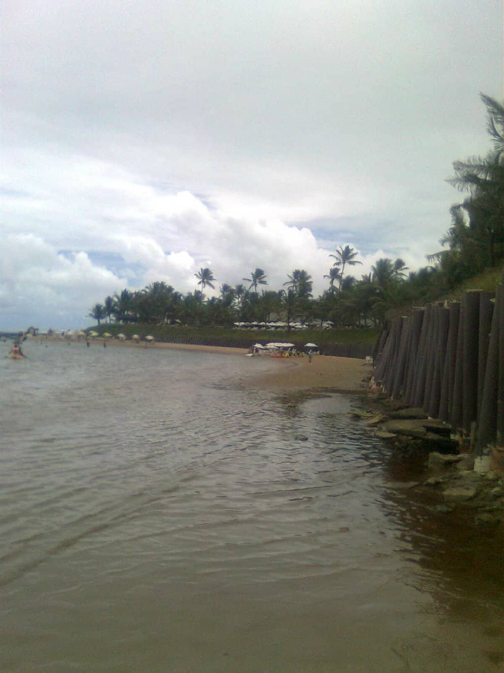 Surfing Paradise
