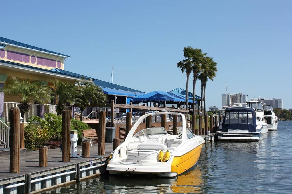 Live Music and Lively Atmosphere