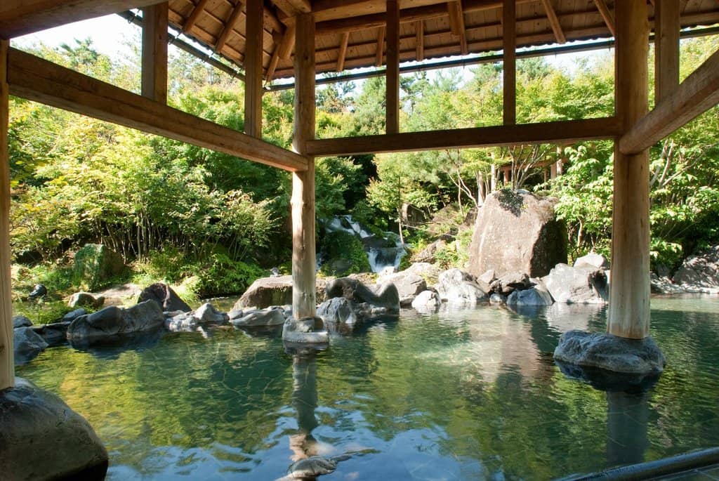 Tranquil Japanese Garden Views