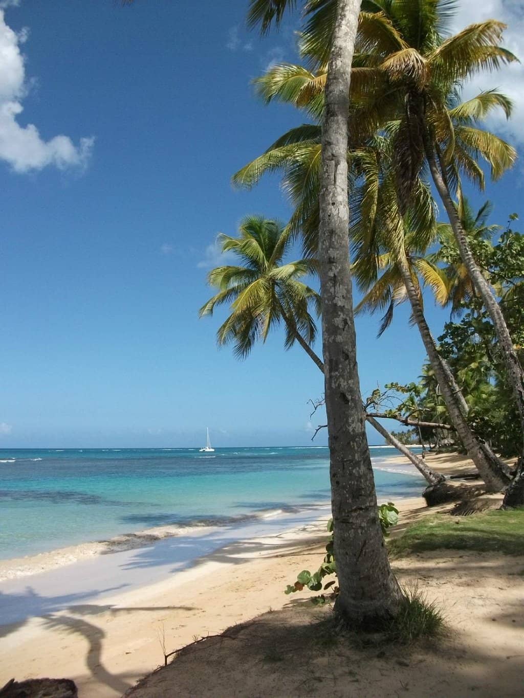 Kite Surfing Paradise