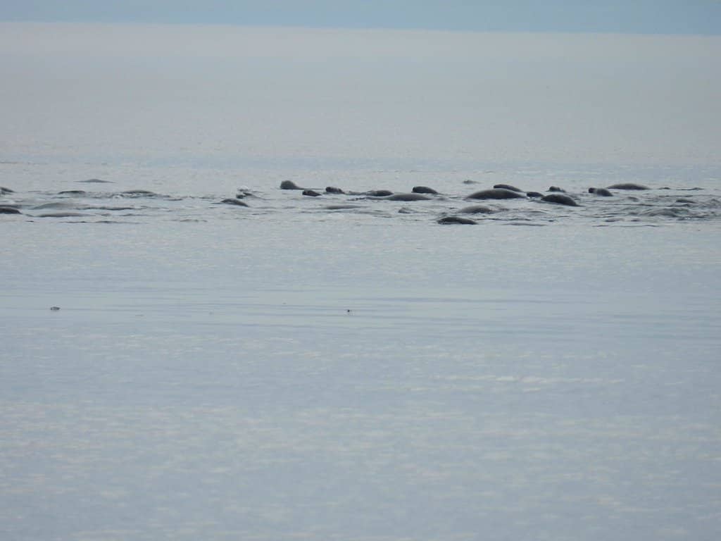 Sunset Over the Fjord
