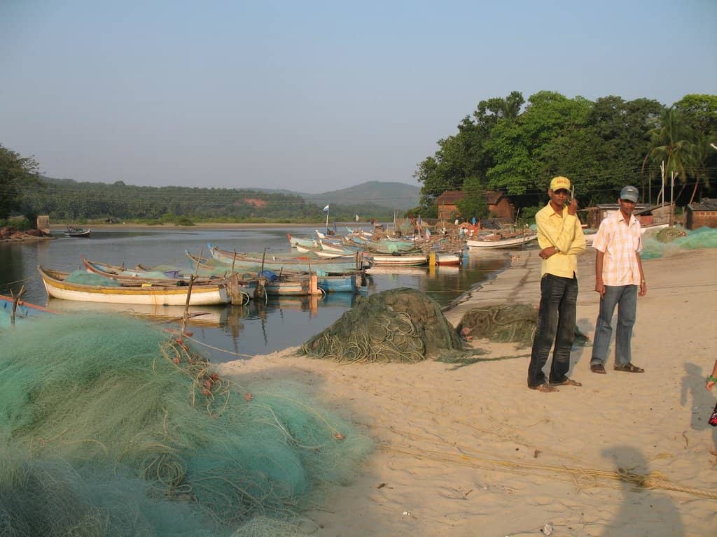 White-bellied Sea Eagles