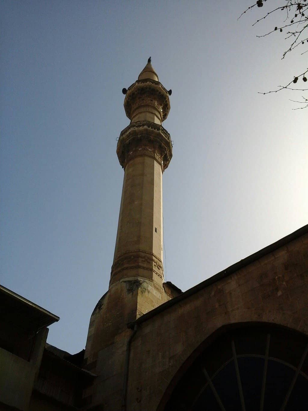 Vertical photo