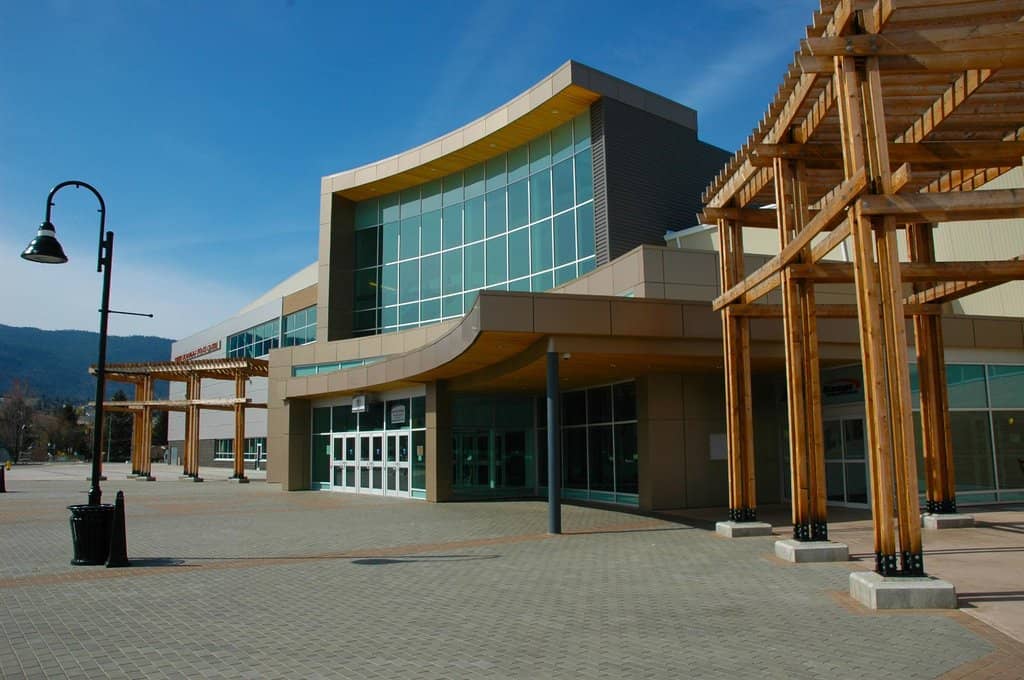 Live Concerts & Performances