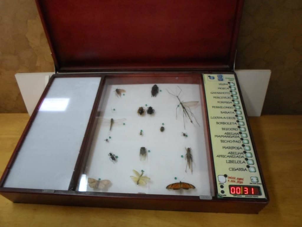 Planeta Inseto Exhibition