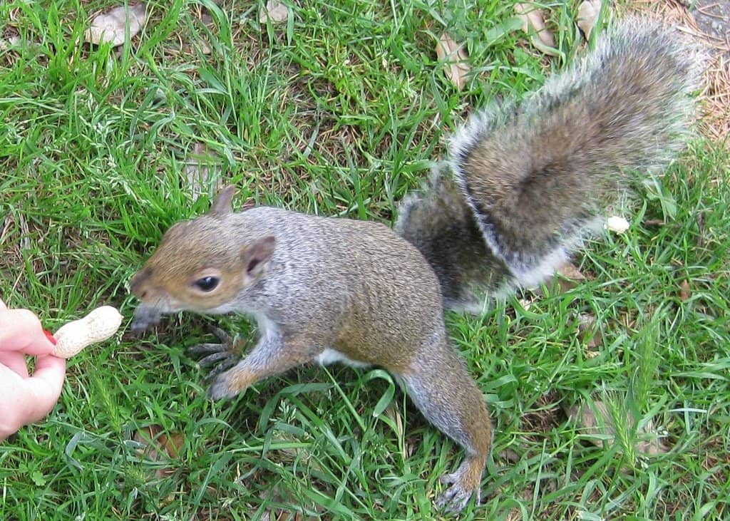 Sports and Fitness Facilities