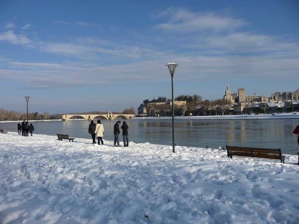 Wild Nature Immersion