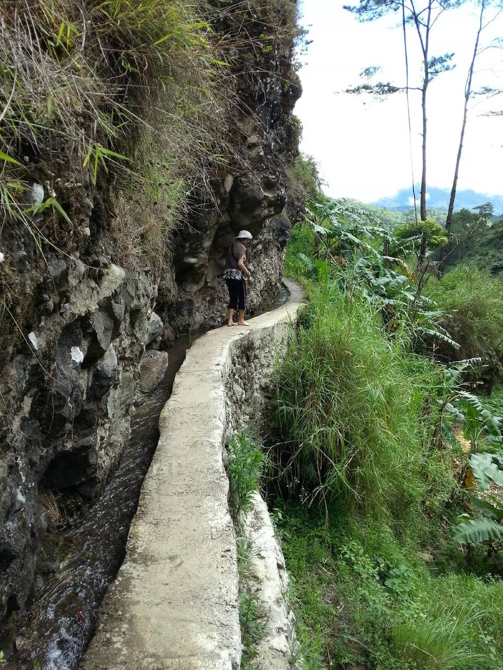 Vertical photo