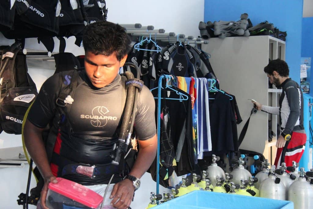 Snorkeling and Diving Excursions