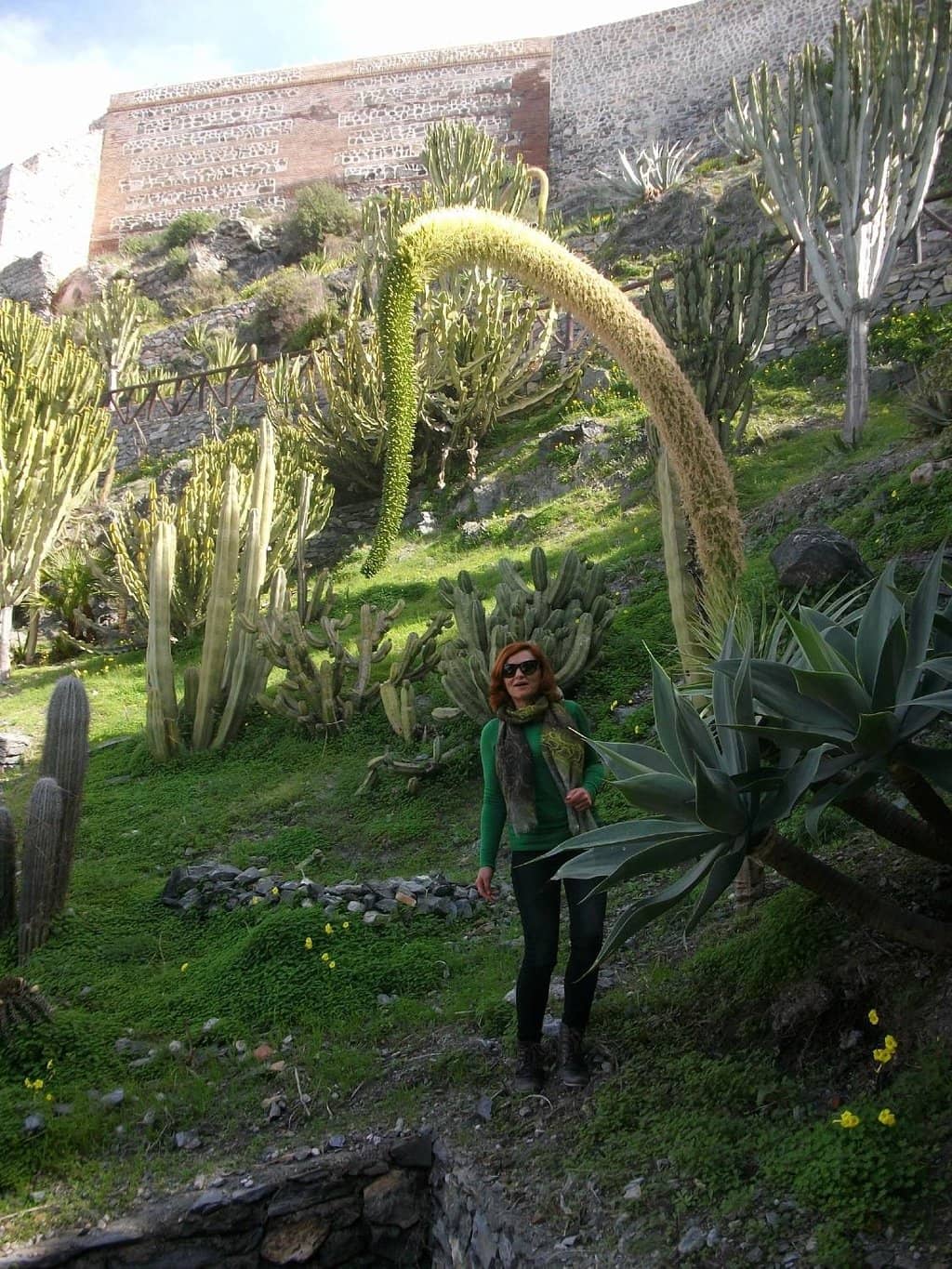 Cactus Garden Views
