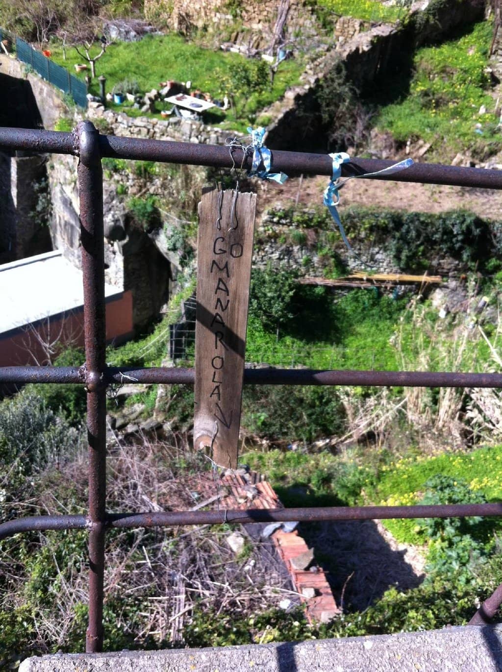 Vertical photo