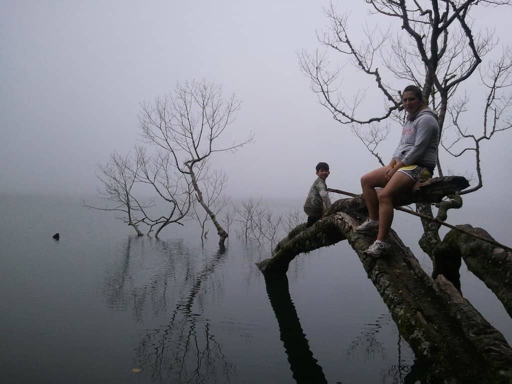Vertical photo