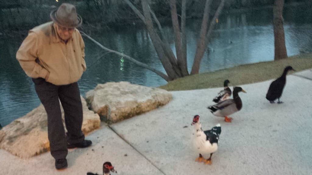 Peaceful Riverside Strolls