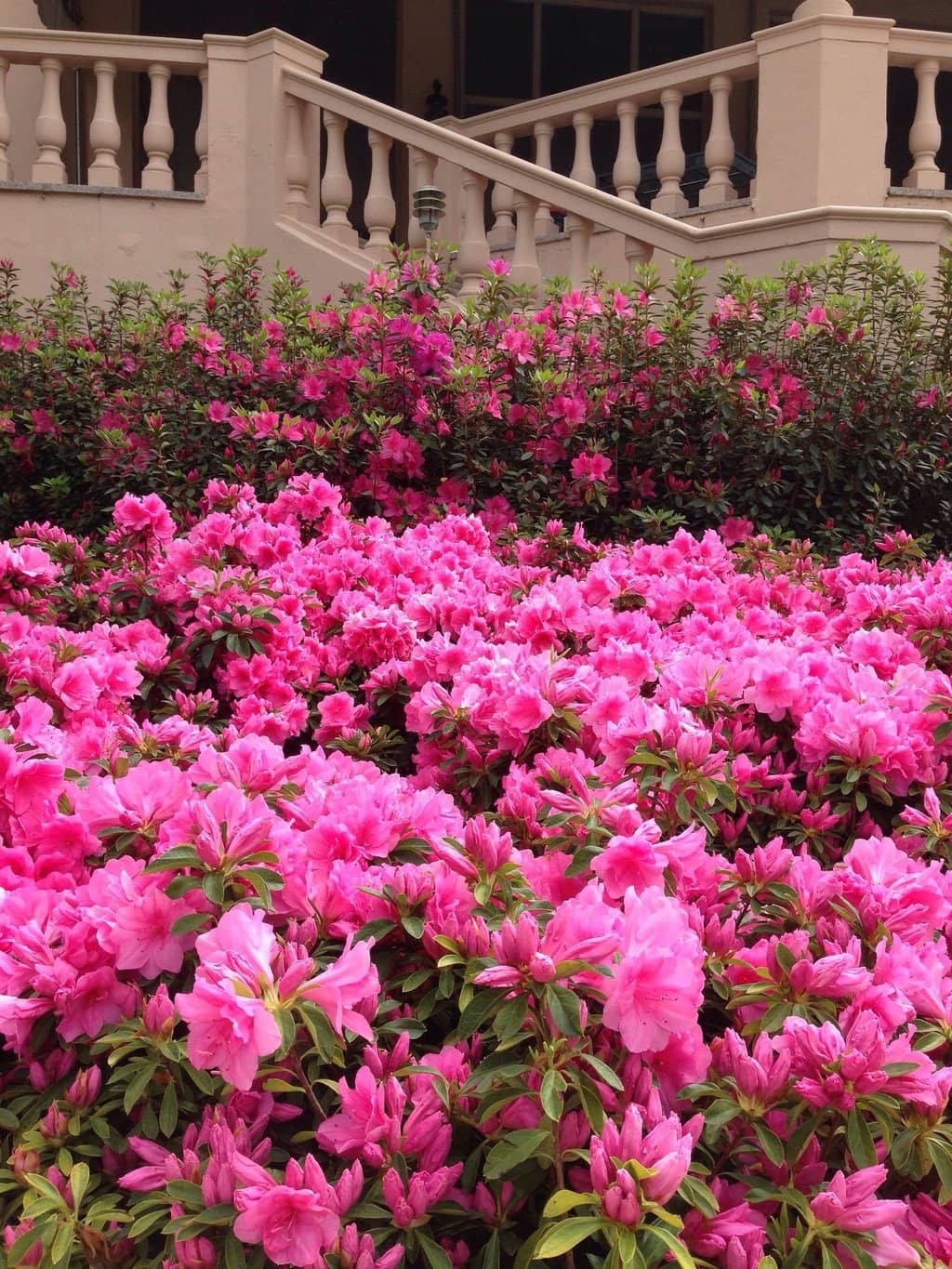 The Magnificent Gardens