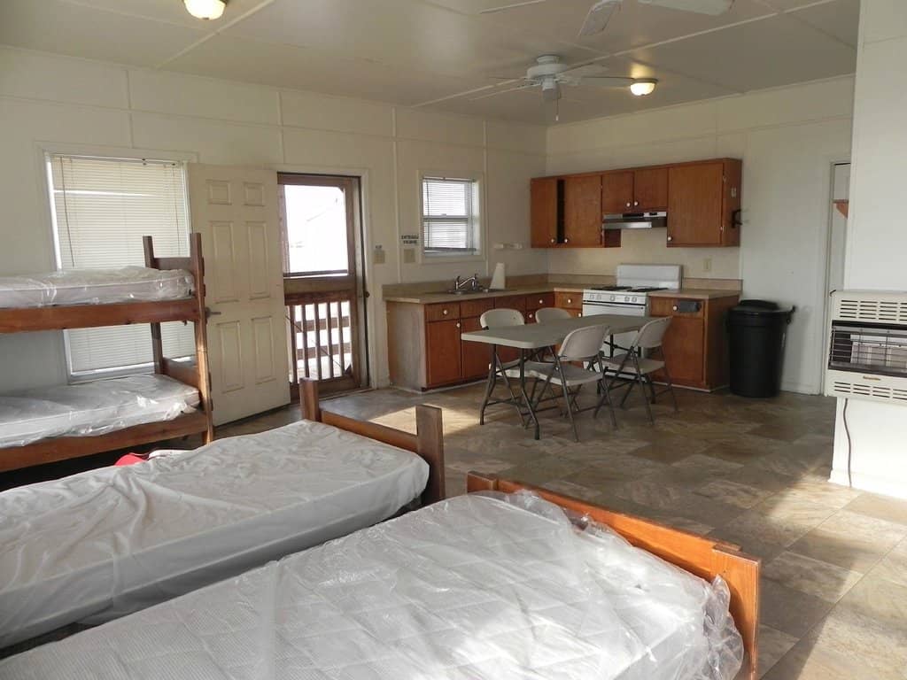 Wild Horse Encounters