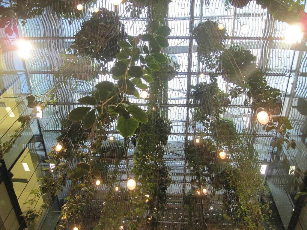 Babylon Garden