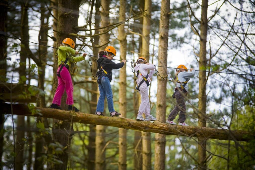 Tree Top Adventure Courses