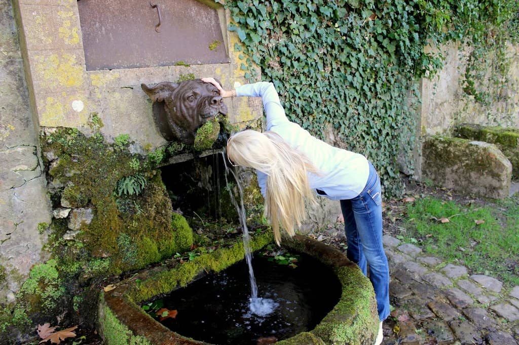 Belleau Wood Battlefield