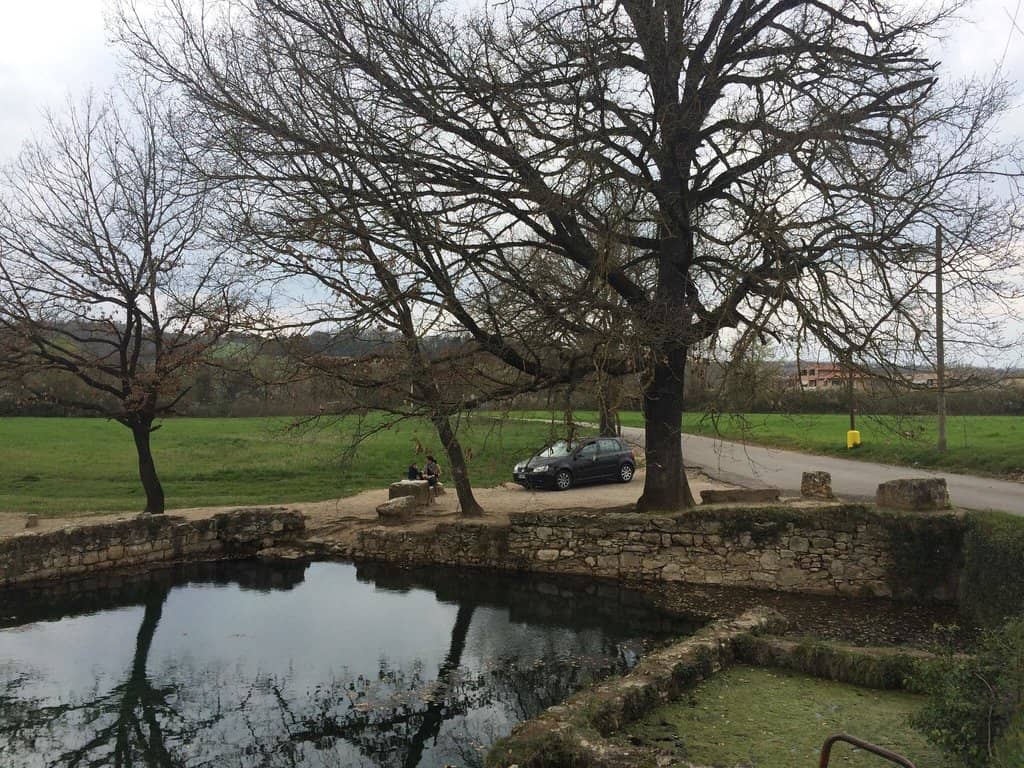 Ancient Temple Discovery