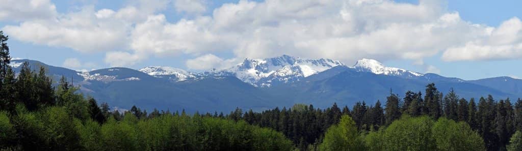 Alberni Valley Vista