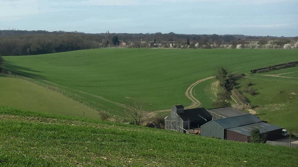 Alpaca Glamping & Meet & Greets