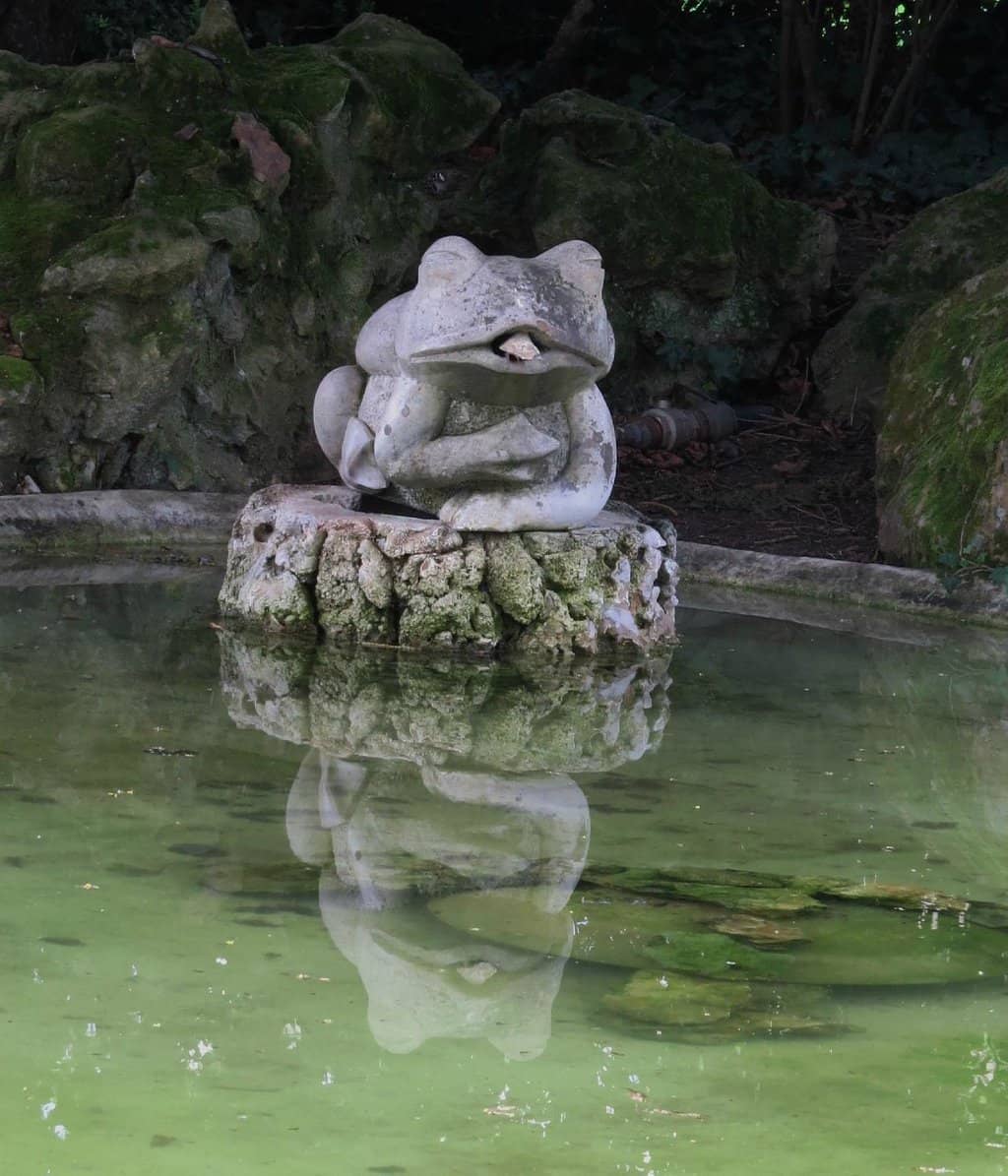 Mini Aquarium & Bird Collection