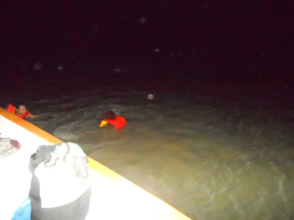 The Bioluminescent Glow