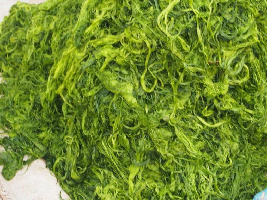 Authentic Laotian Snacks