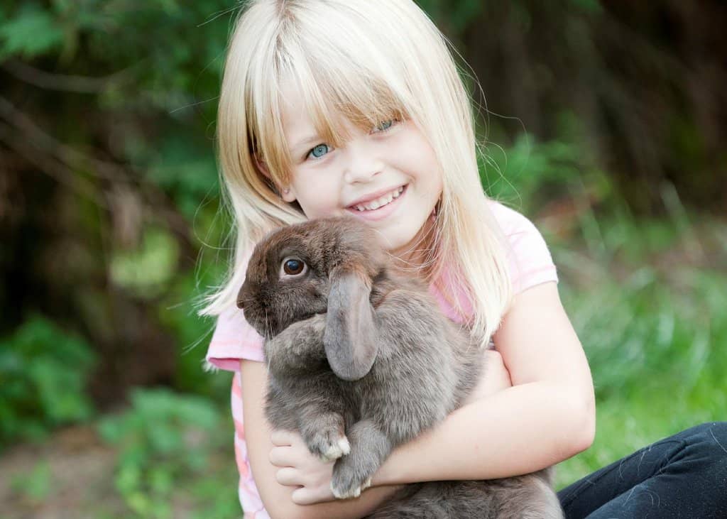 North Pole Adventure