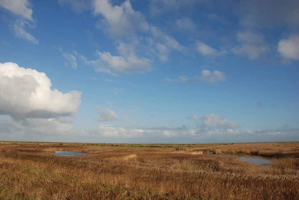 Sheringham 1940s Weekend
