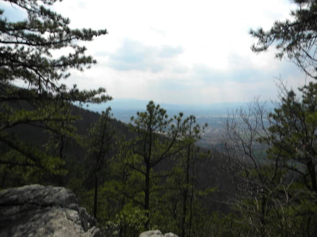 Varied Trail Terrain