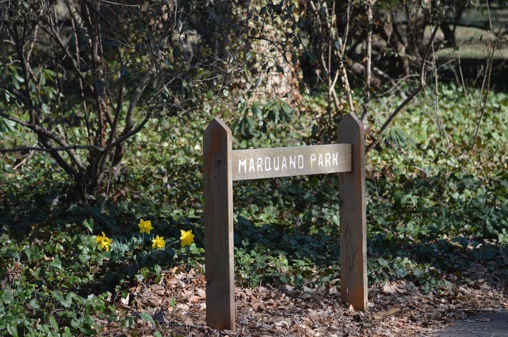 Enchanting Children's Play Area