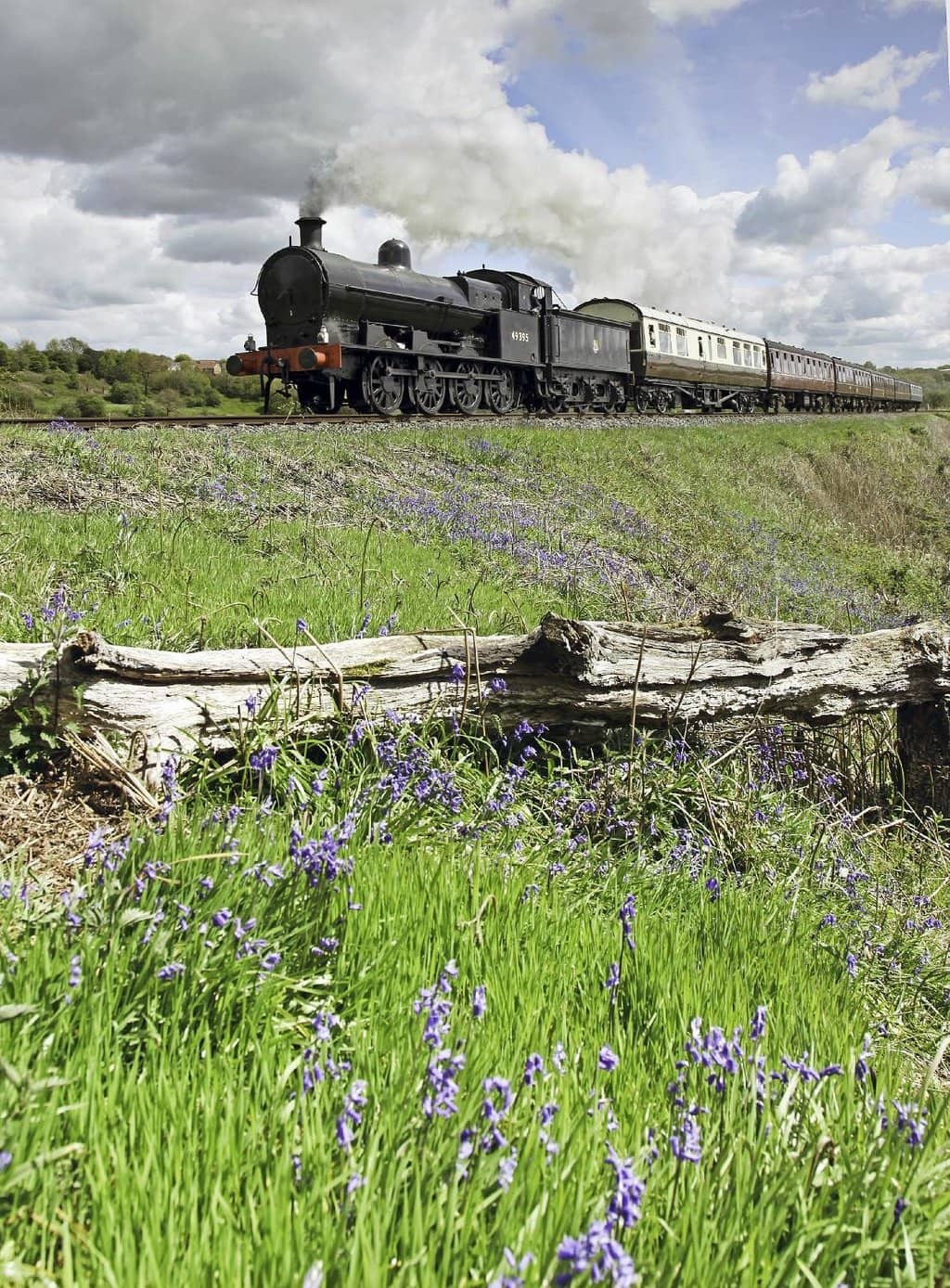 Murder Mystery Nights