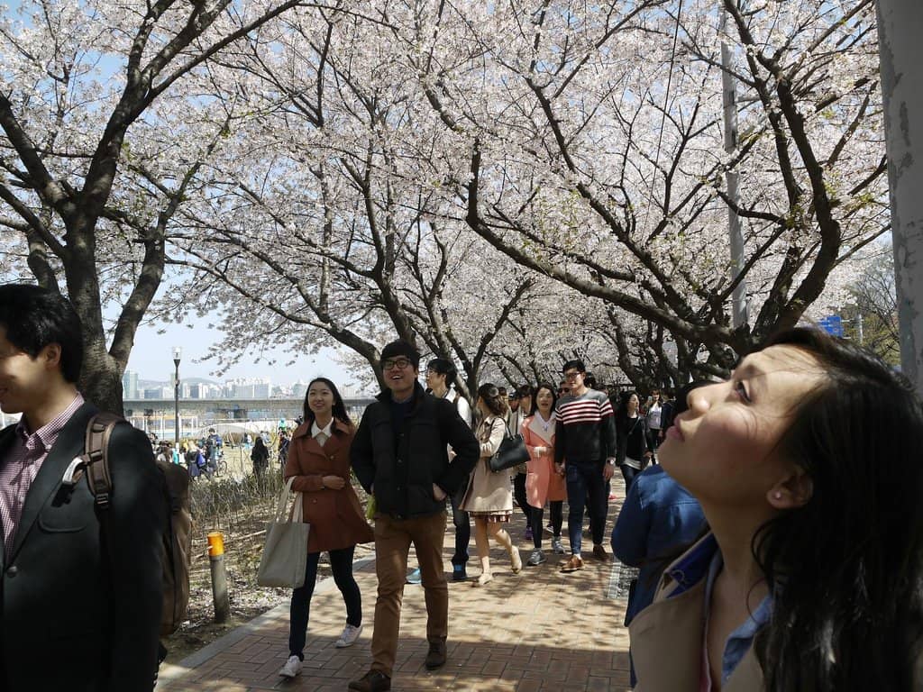 Cultural Yard (Munhwa Madang)