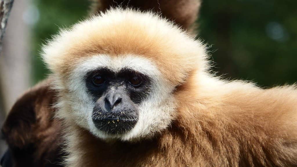 Children's Fountain Area