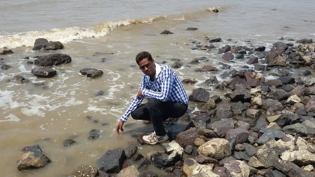 Local Seafood Delights