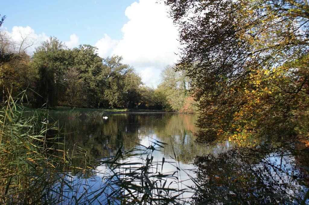 Picnic Spots