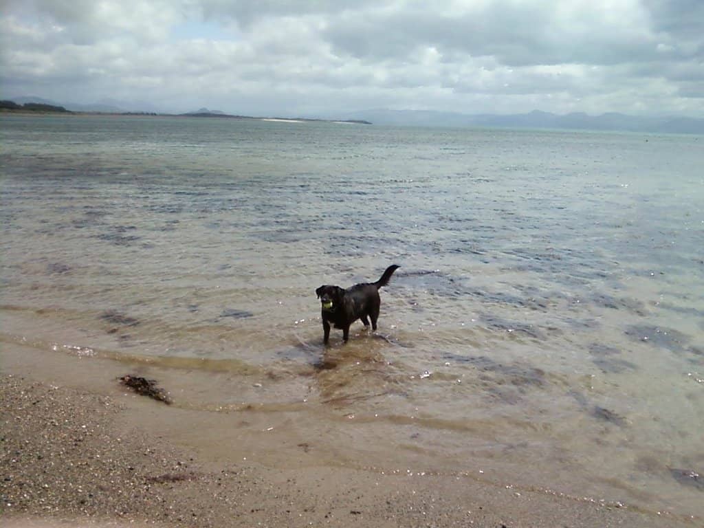 Nearby Beach Access